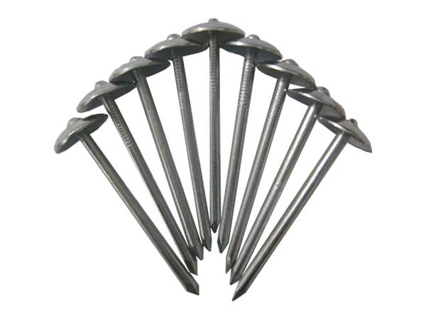 There are nine galvanized roofing nails with smooth shank.