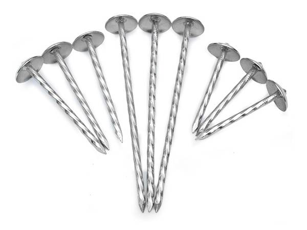 There are nine galvanized roofing nails with spiral shank.