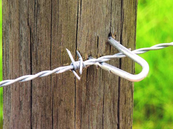 Secure the barbed wire to the wooden posts with U shaped nails.