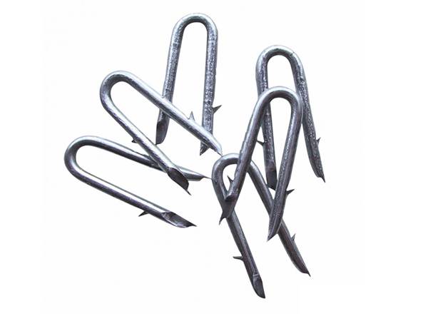 There are six U nails with single barbed shanks.