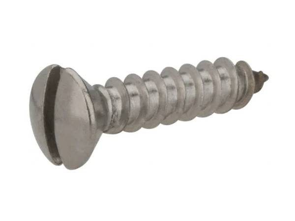 There is a wood screw with slotted oval head.